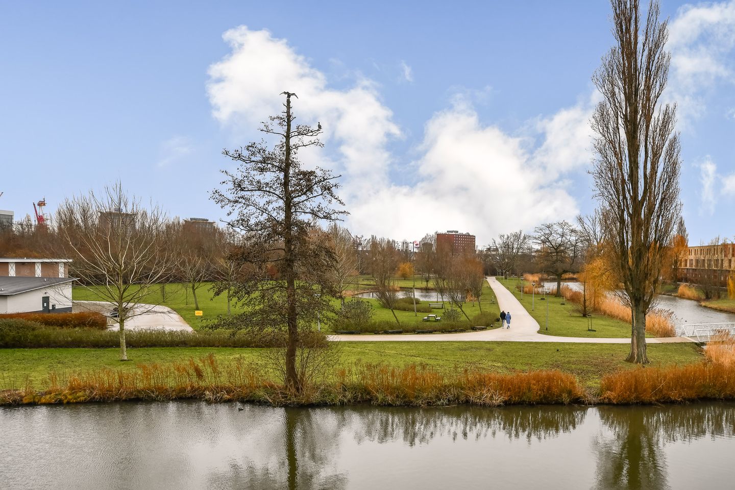 Foto 10 van van Maanenstraat 80