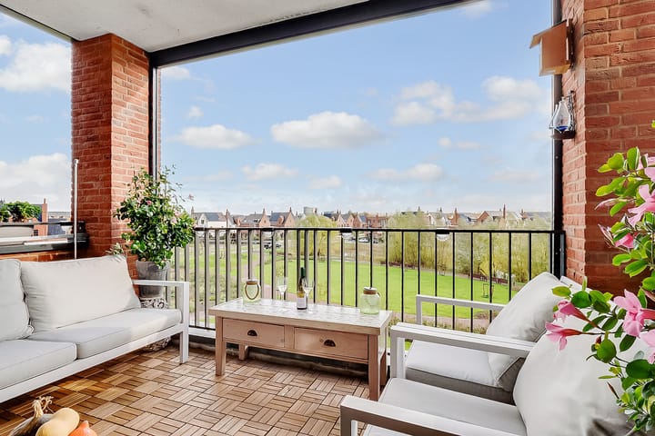 Foto 14 van Thomas Morelaan 283