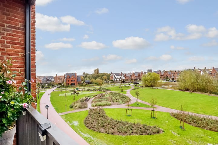 Foto 16 van Thomas Morelaan 283