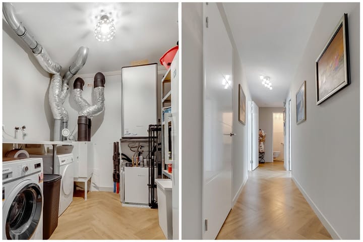 Foto 26 van Thomas Morelaan 283