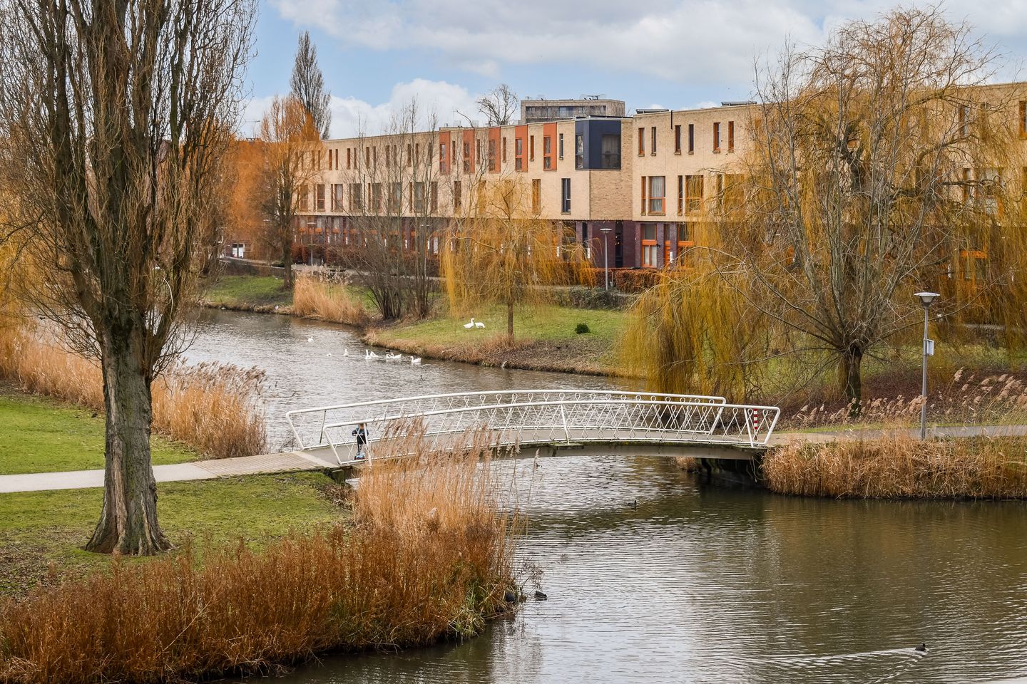 Foto 29 van van Maanenstraat 80