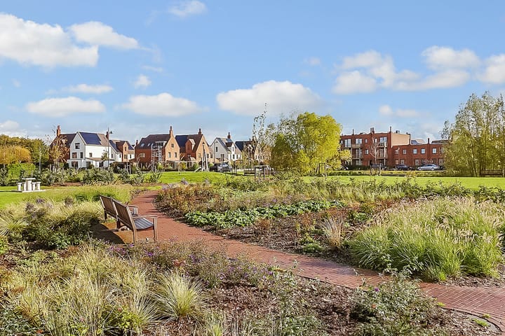 Foto 39 van Thomas Morelaan 283