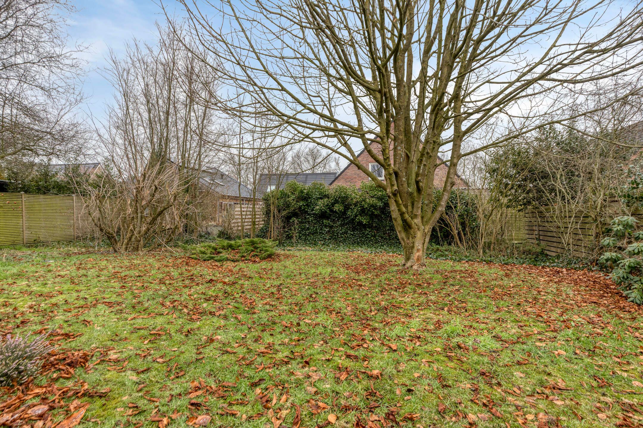 Photo 27 of Stienpad 13