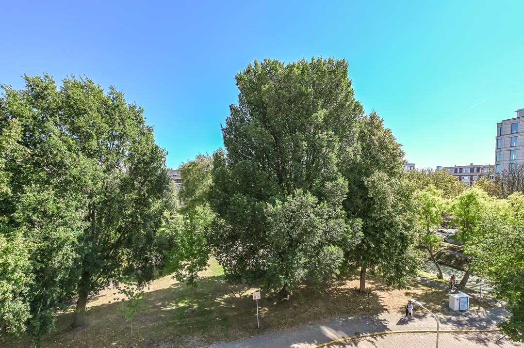 Foto 22 van Burgemeester Patijnlaan 746