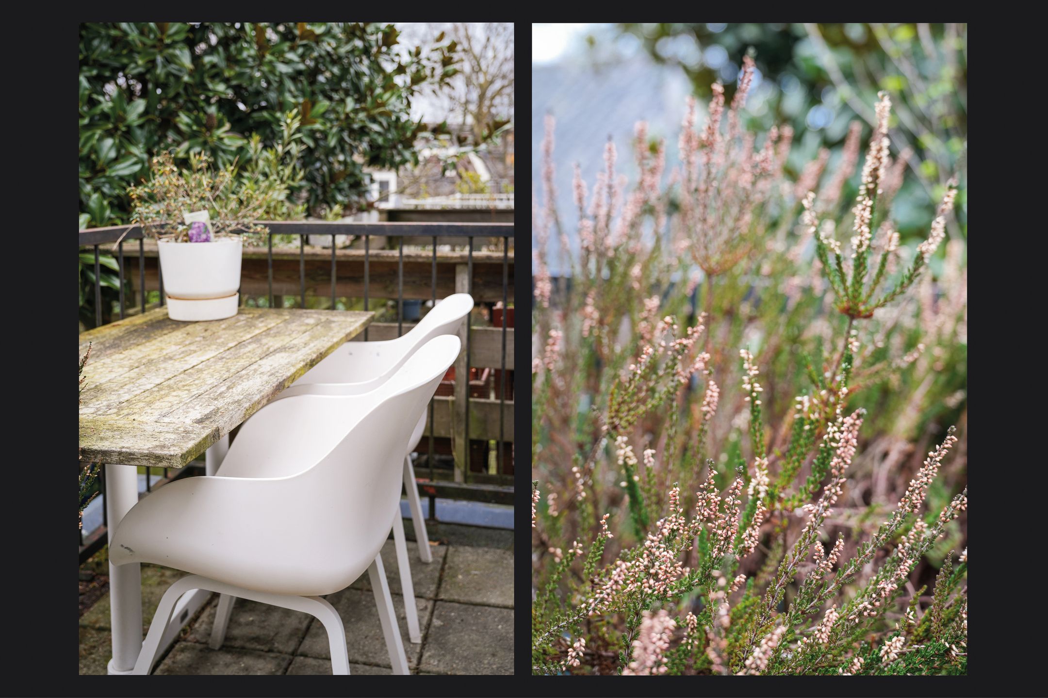 Photo 36 of Hofstraat 14