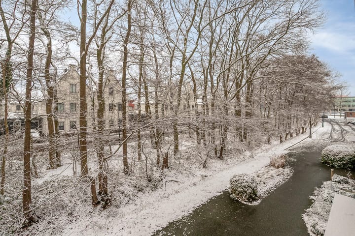 Photo 4 of Bornberg 22