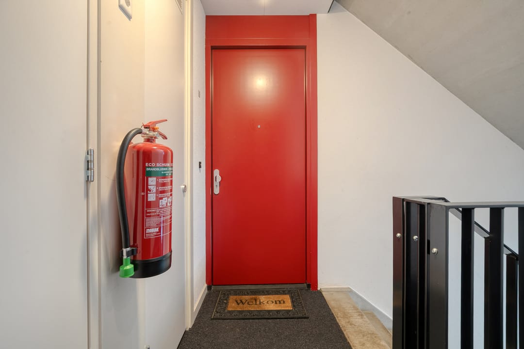 Photo 7 of Bornberg 22