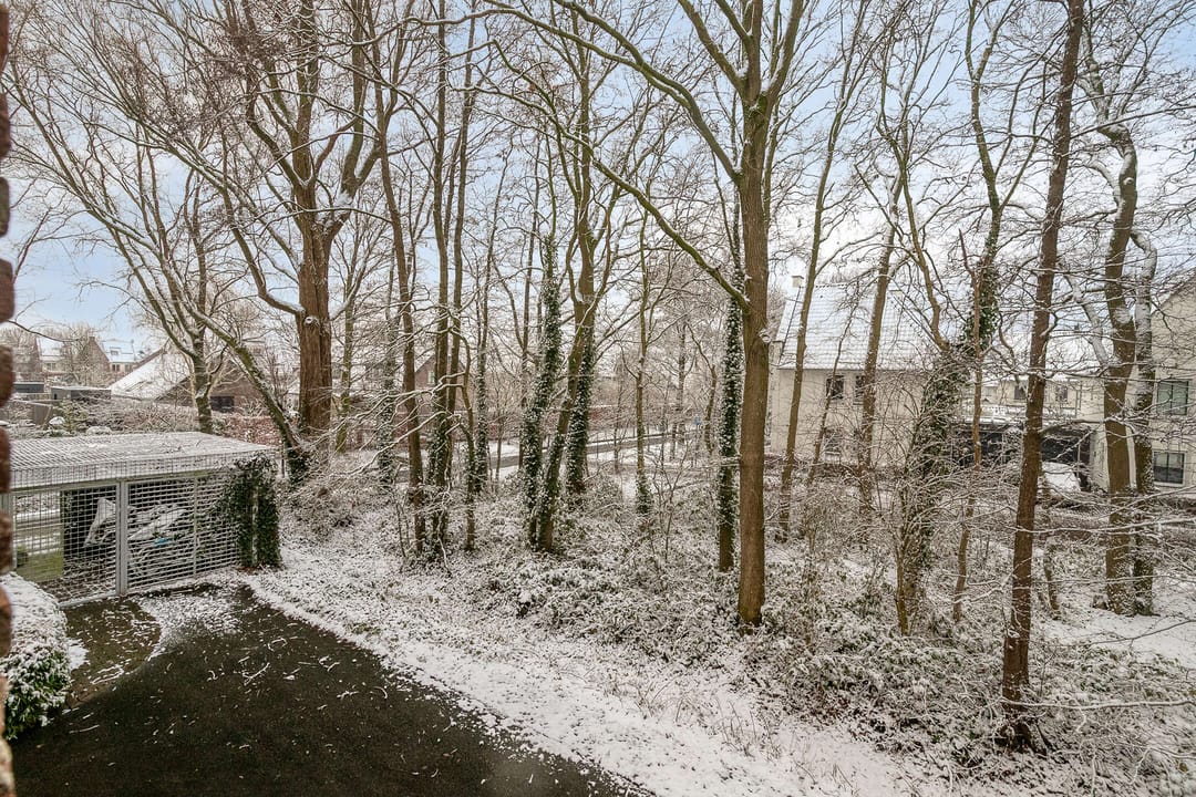 Photo 22 of Bornberg 22