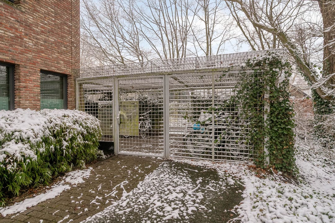 Photo 23 of Bornberg 22