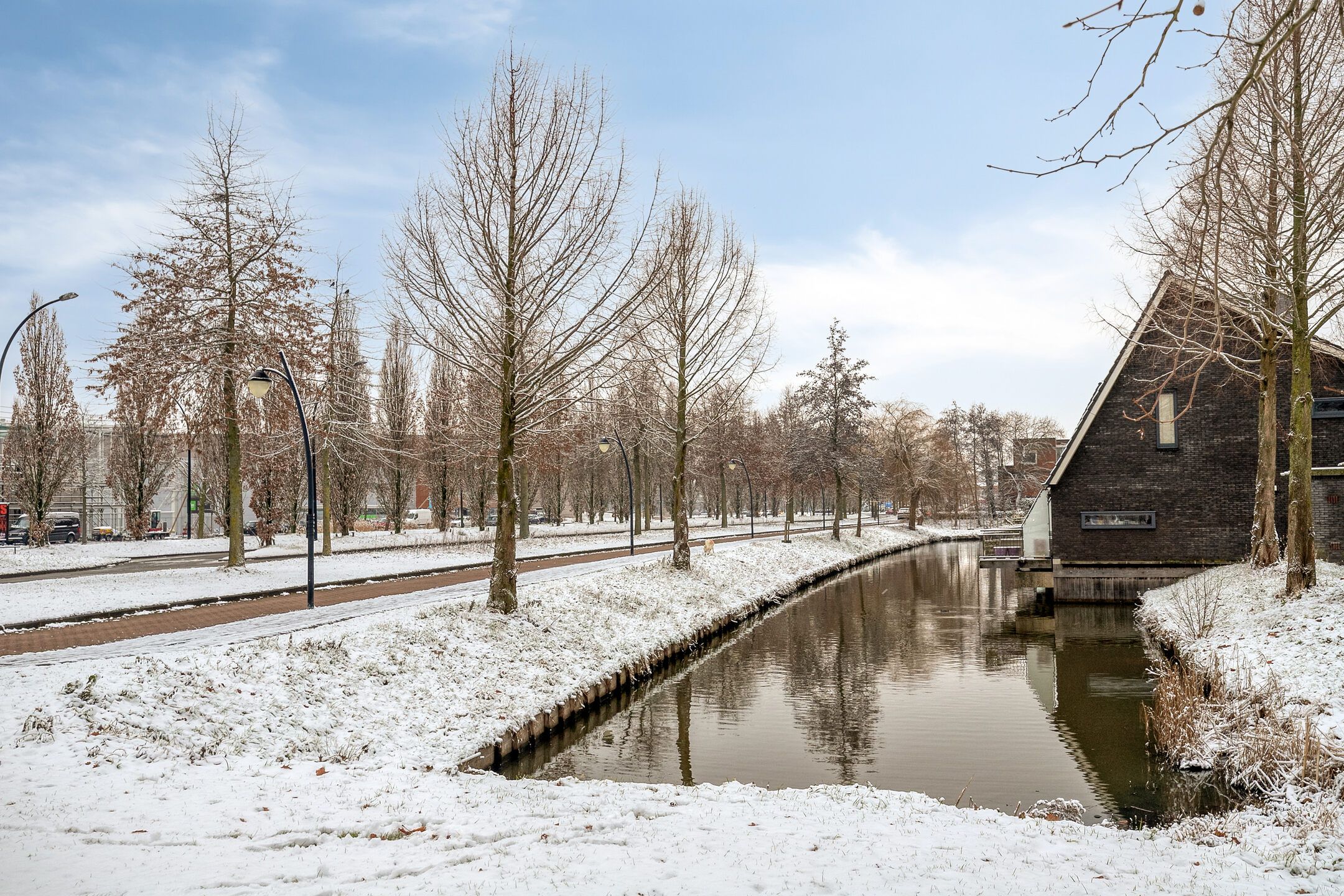 Photo 24 of Bornberg 22