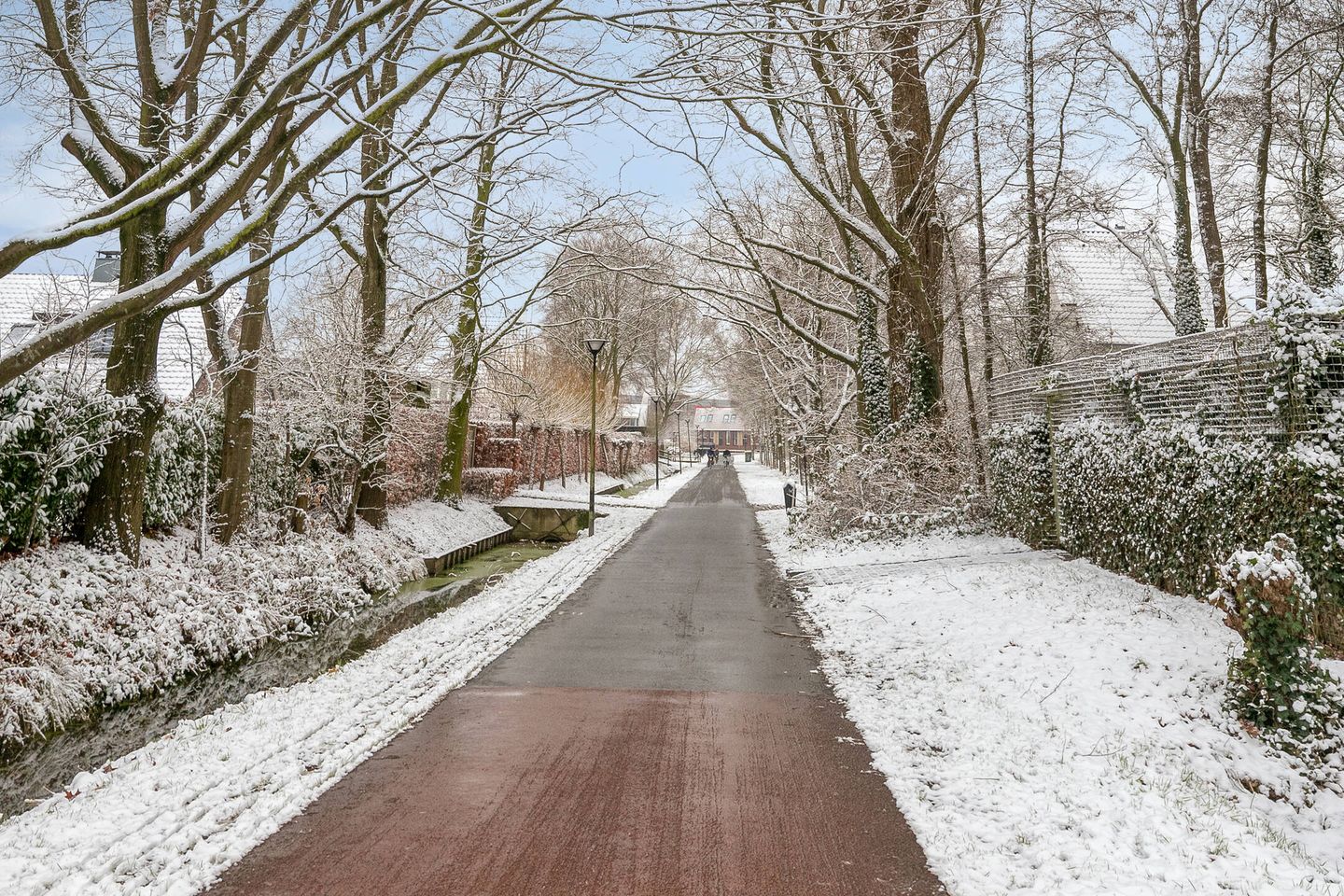 Photo 25 of Bornberg 22