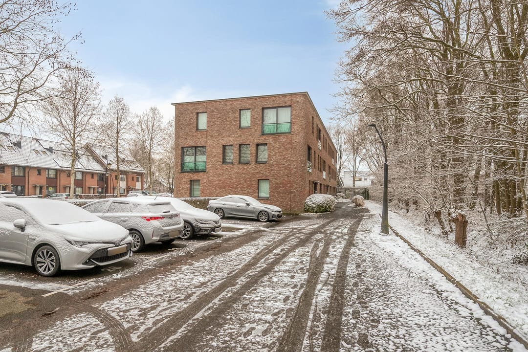 Photo 26 of Bornberg 22