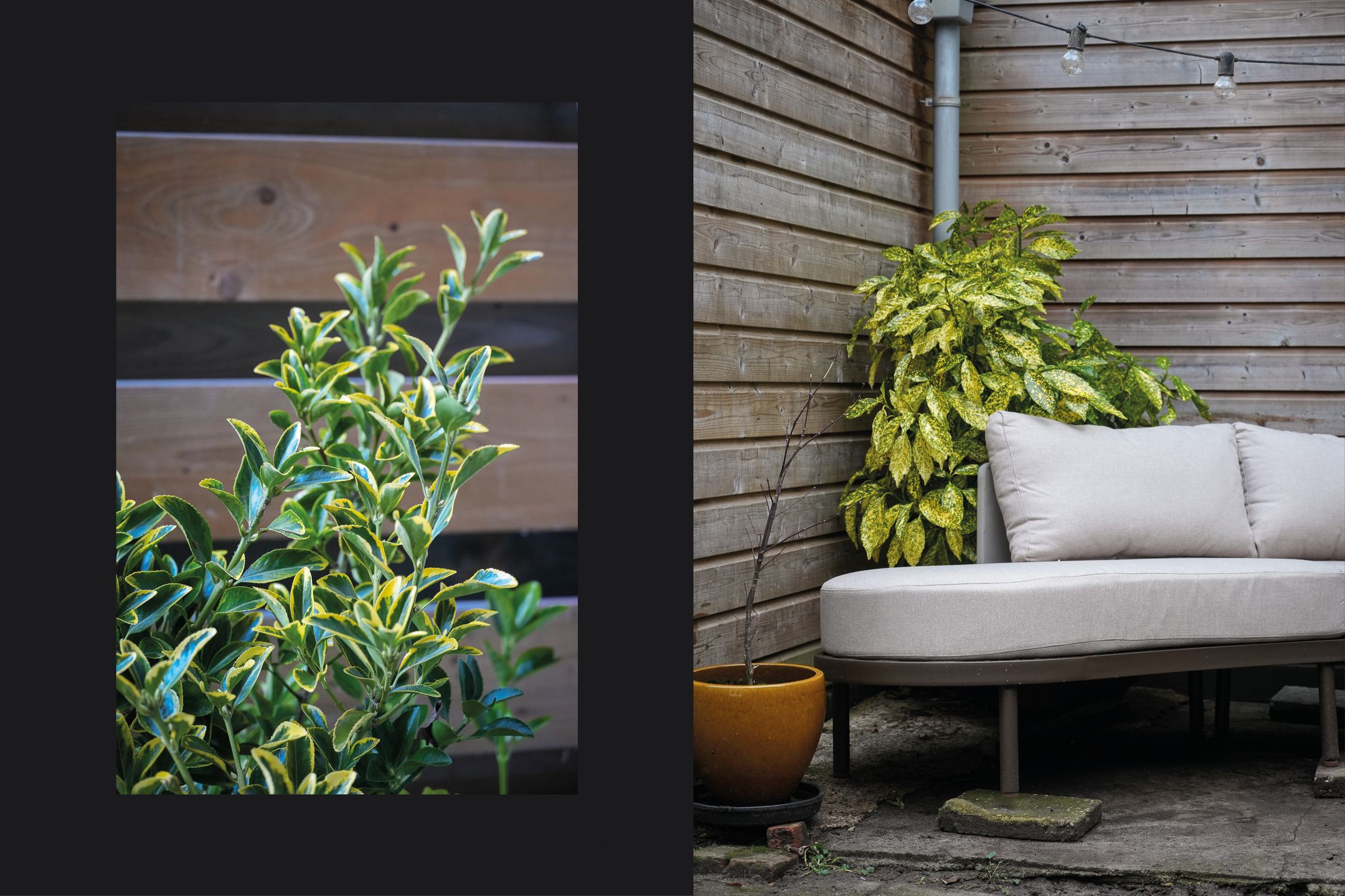 Foto 27 van Agnes van Leeuwenberchstraat 16