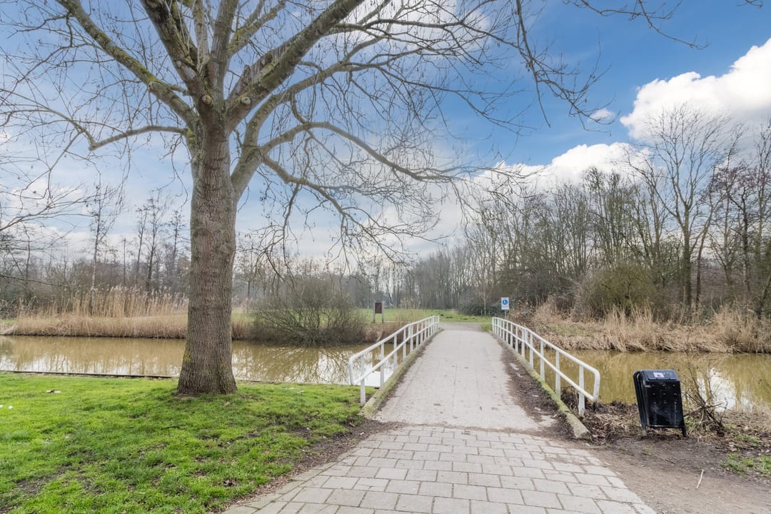 Photo 37 of Clusiuserf 25