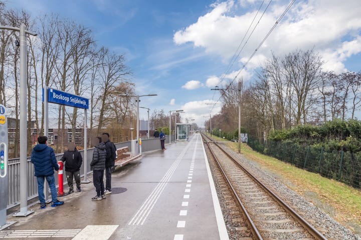 Photo 40 of Clusiuserf 25