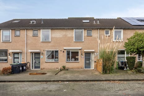 undefined main image