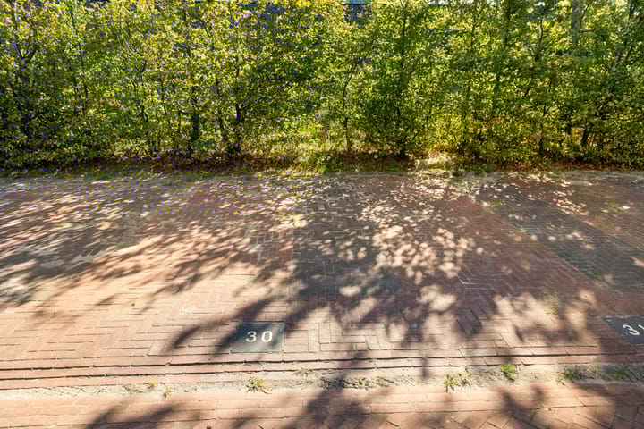 Foto 16 van Polenstraat 132