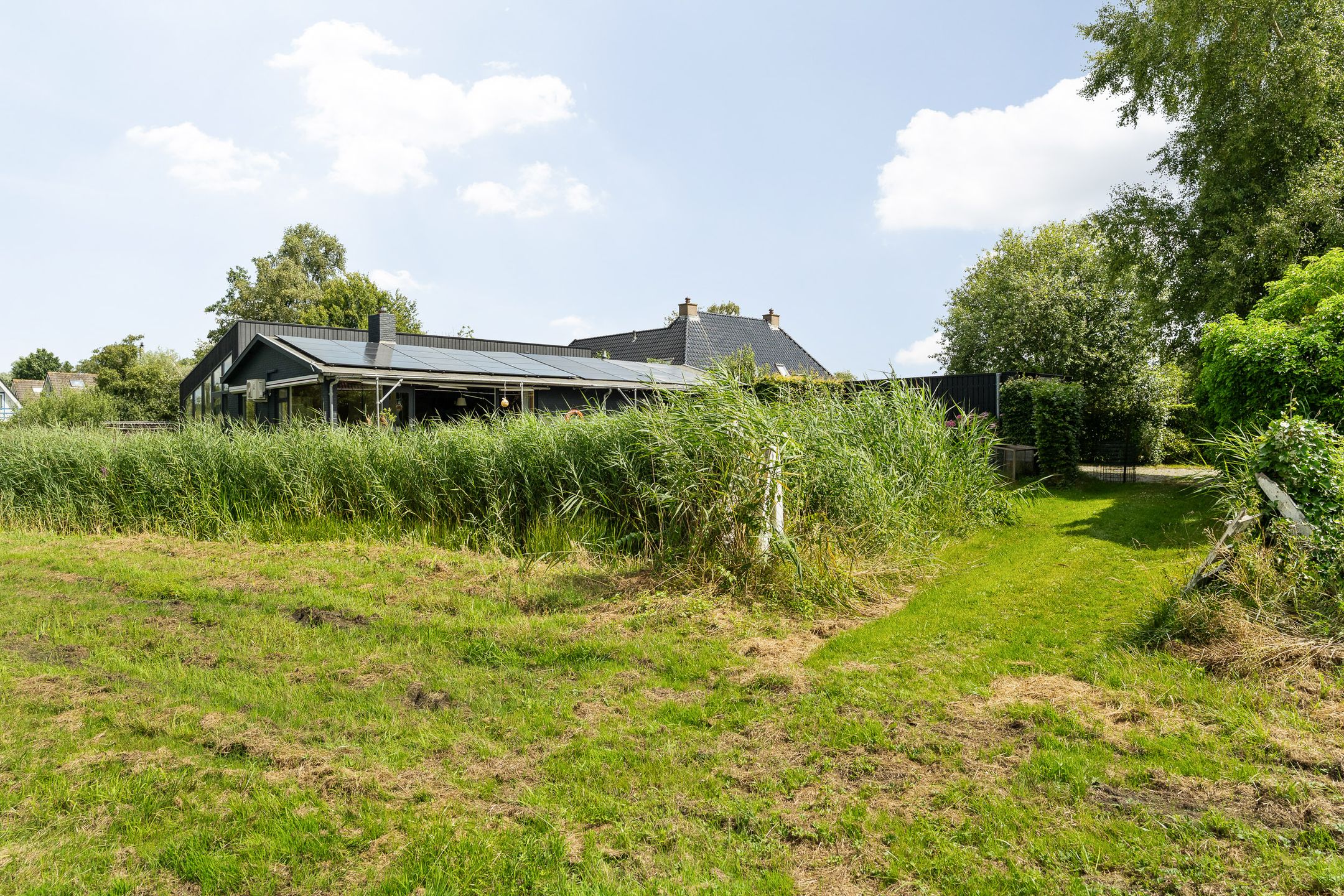 Foto 15 van Wiidswâl 20