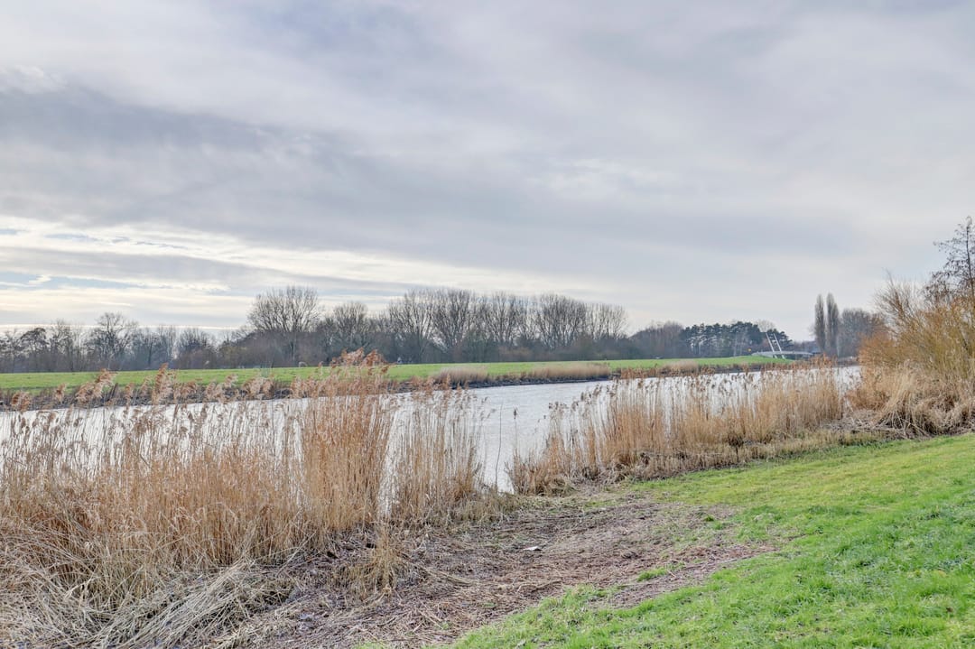 Photo 37 of Beekmanstraat 163