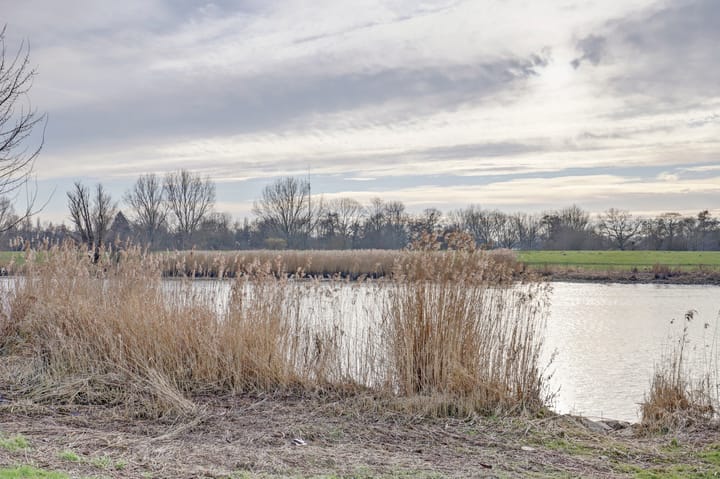 Photo 38 of Beekmanstraat 163