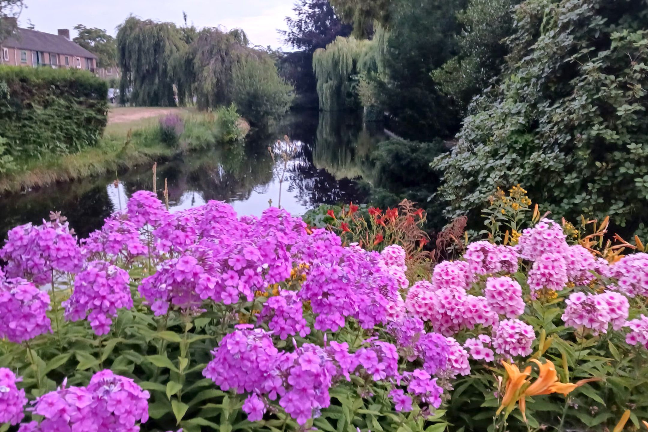 Photo 51 of Olympiaweg 38