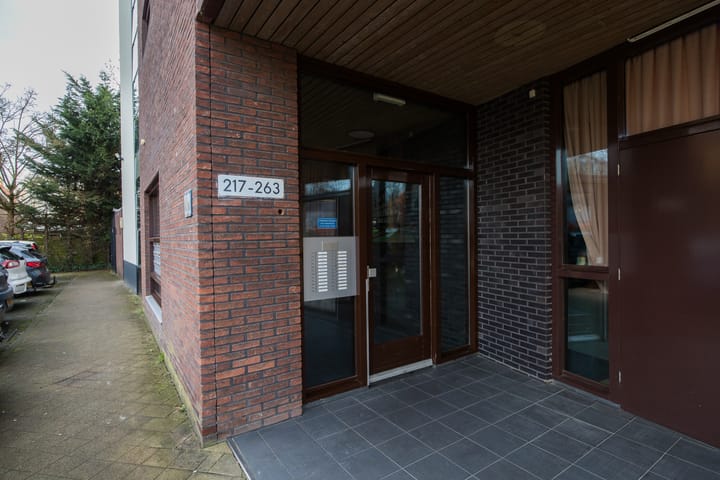 Foto 38 van Houtrakgracht 251