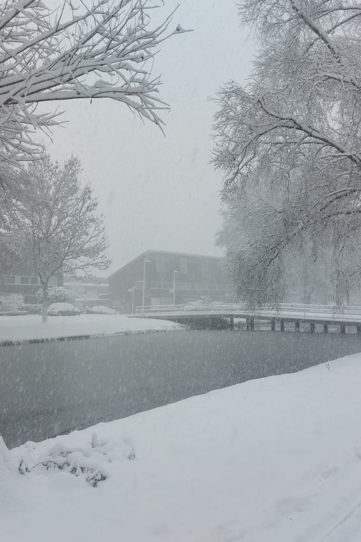 Foto 45 van Houtrakgracht 251