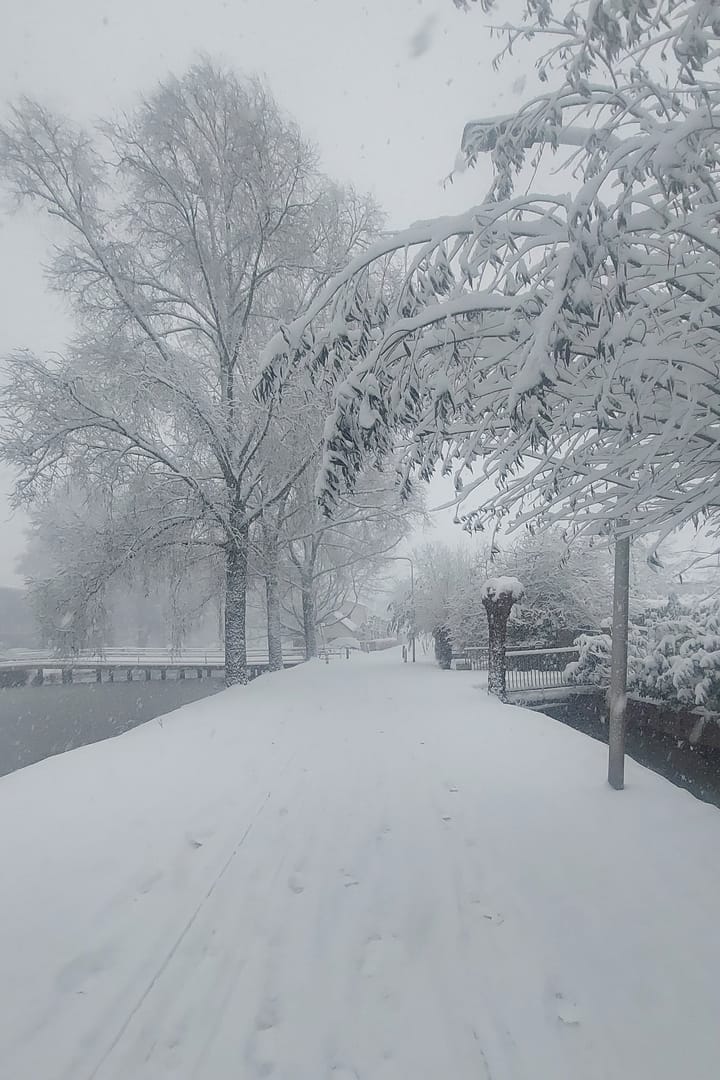 Foto 46 van Houtrakgracht 251