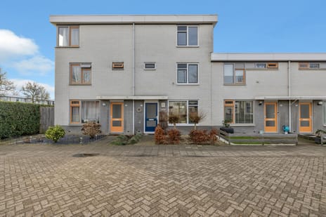 undefined main image