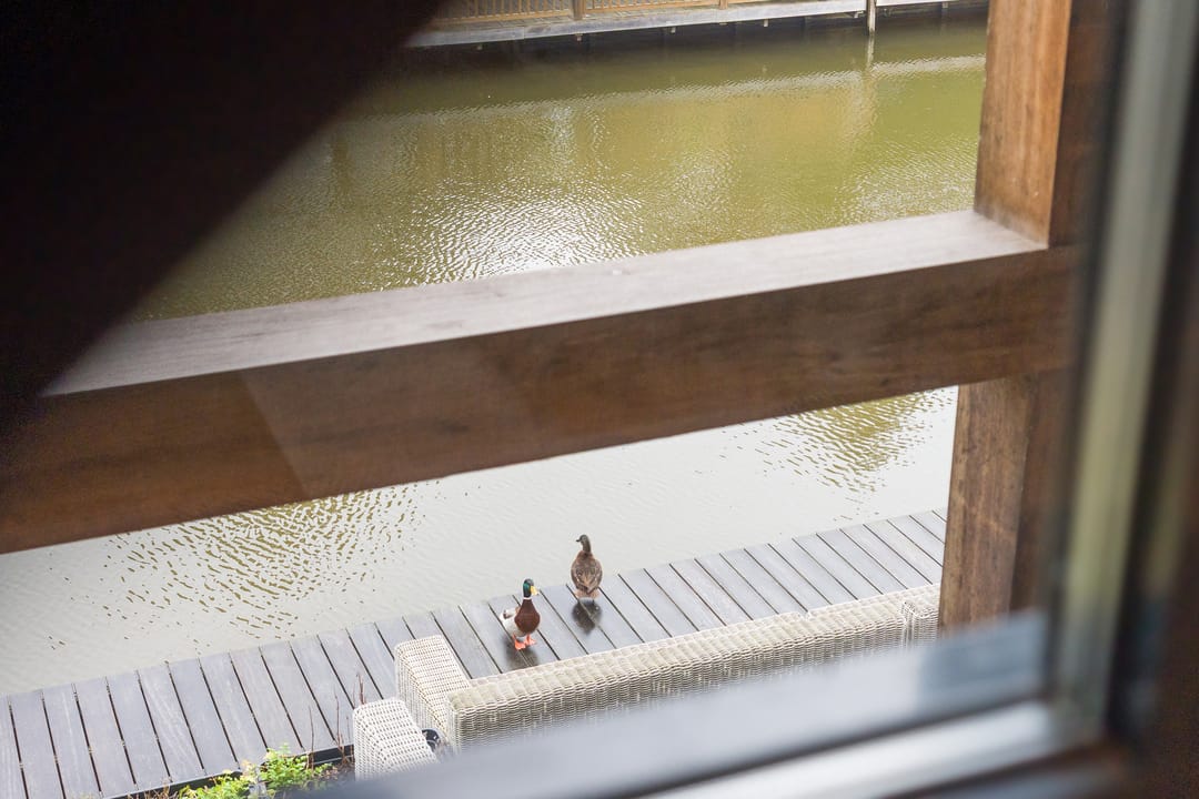 Photo 43 of Kamerlingh Onnesstraat 56