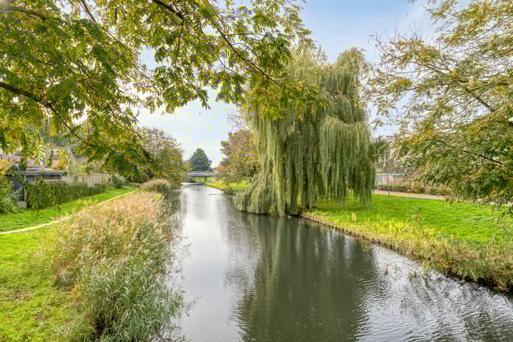 Photo 42 of Willem Pijperstraat 30