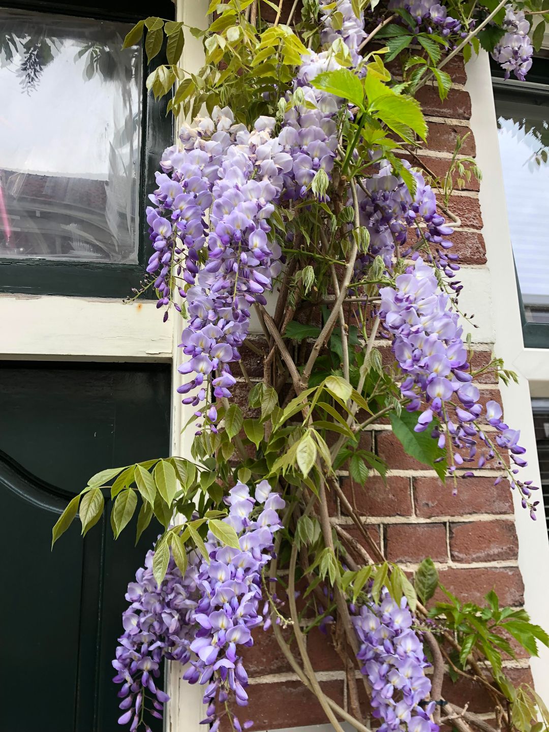 Photo 8 of Klarenbeekstraat 55-RD