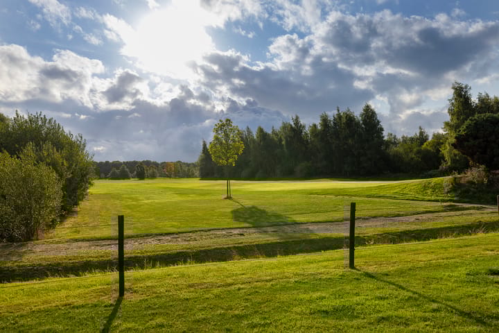 Photo 4 of Haarweg 14