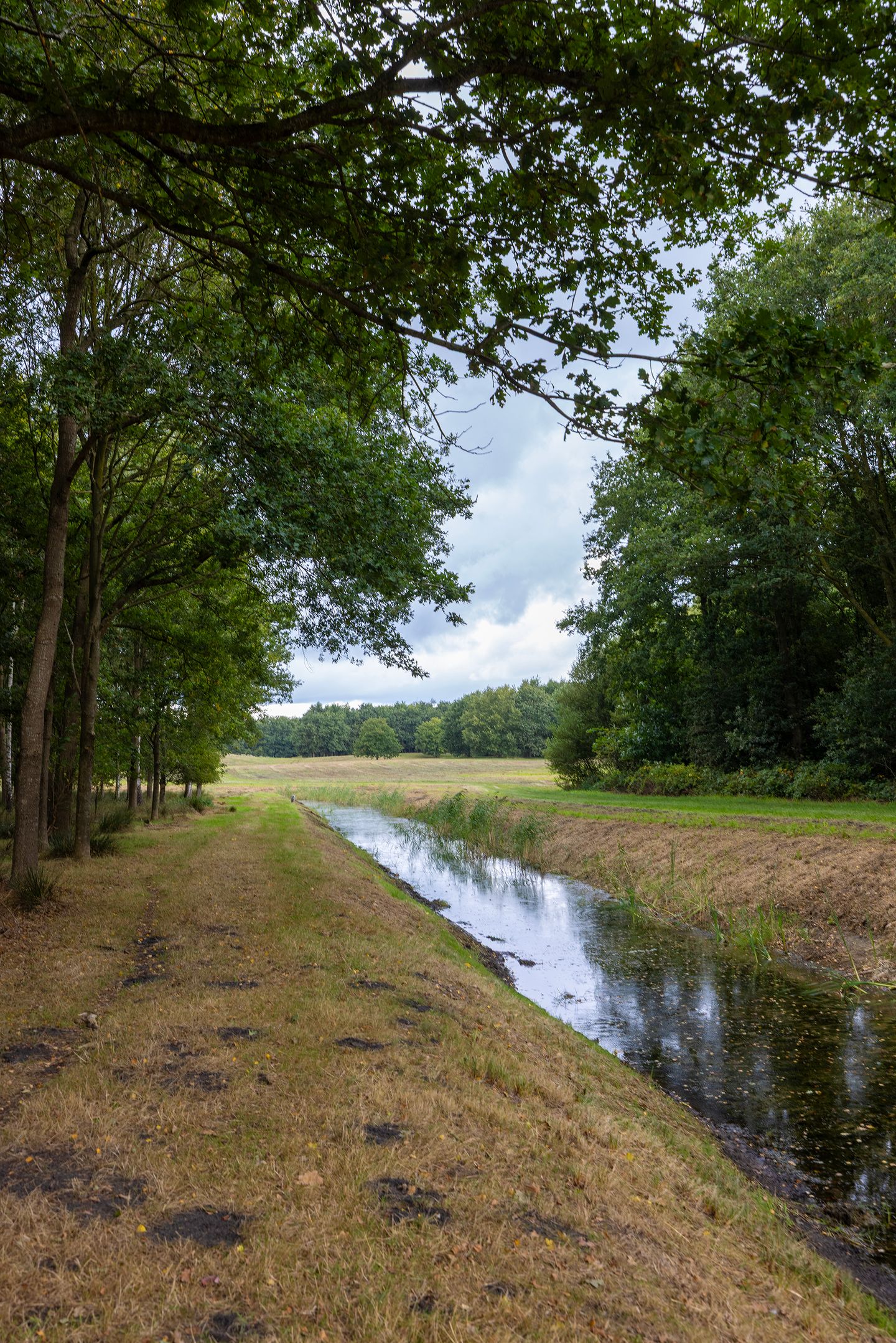 Foto 95 van Haarweg 14