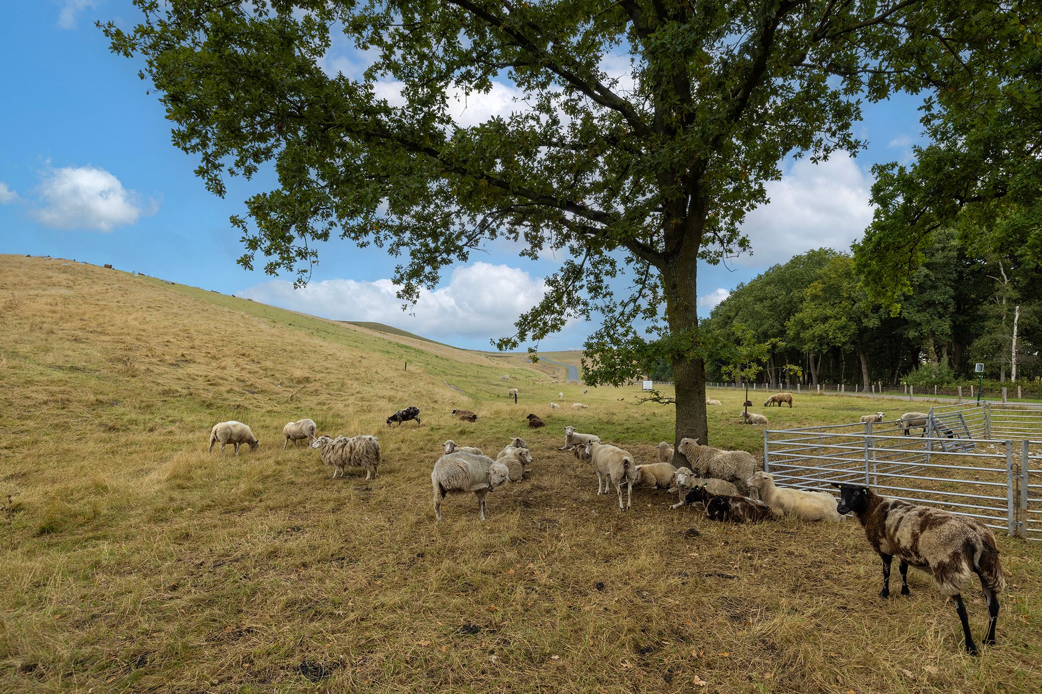 Foto 96 van Haarweg 14