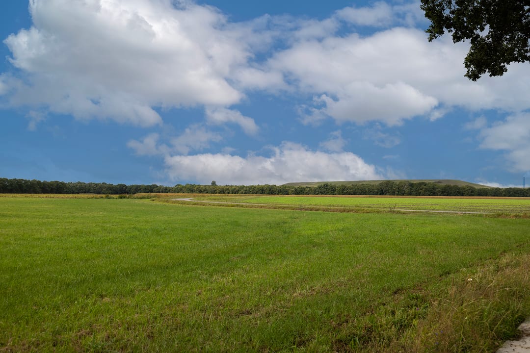 Foto 91 van Haarweg 14