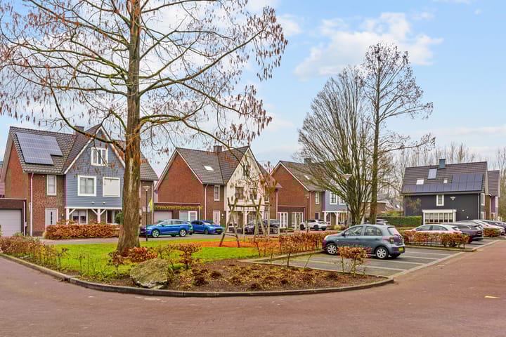 Foto 44 van Hendrik van Hamontstraat 52