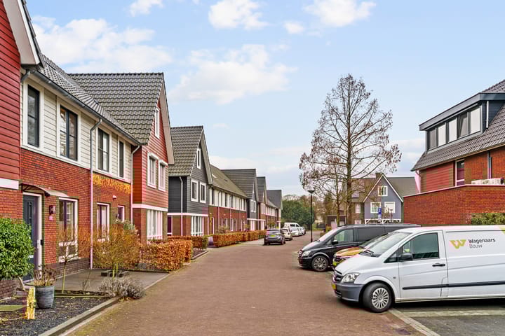 Foto 46 van Hendrik van Hamontstraat 52