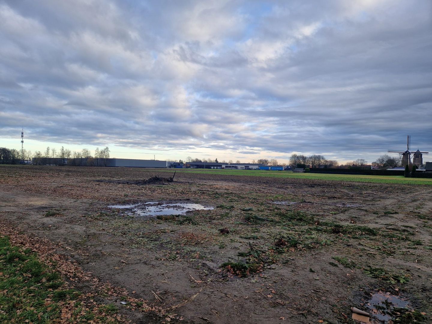 Bekijk foto 1 van Zoeferbeemd