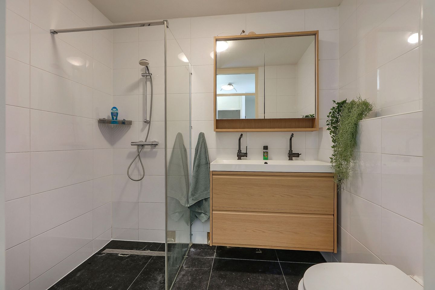 Foto 20 van Jan Peppinkstraat 11