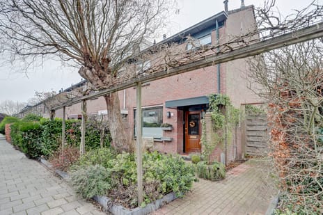 undefined main image