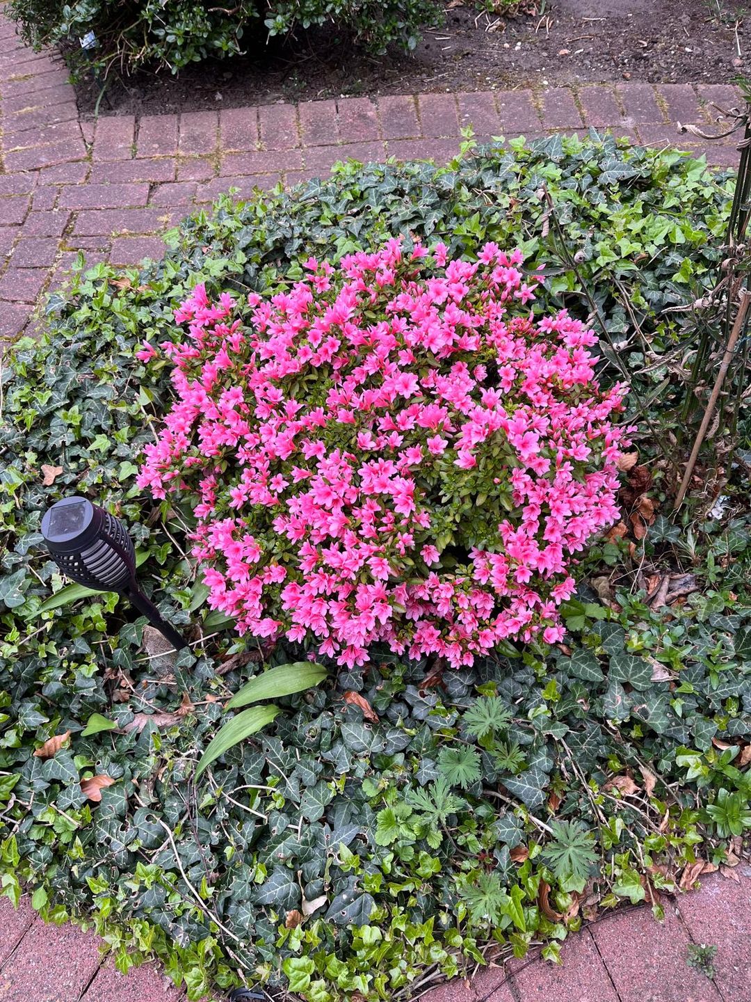 Foto 22 van Koweitstraat 17