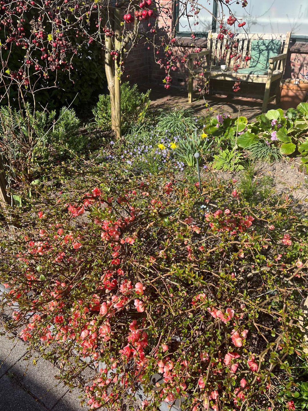 Foto 23 van Koweitstraat 17