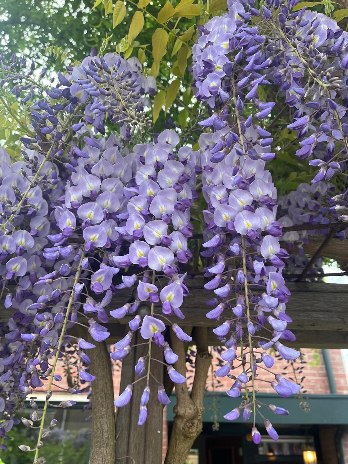 Foto 24 van Koweitstraat 17