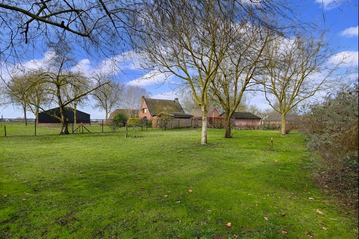 Foto 42 van Driehoek 5