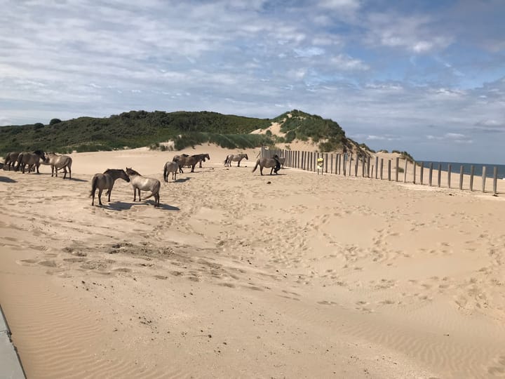 Foto 55 van Kazerneplein 27