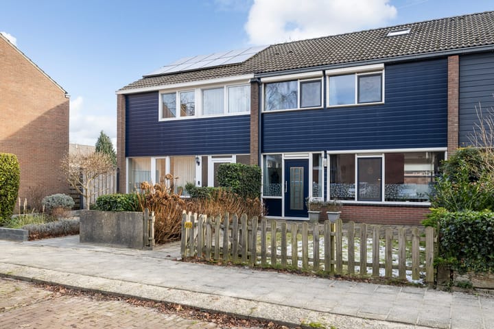 Foto 2 van Laan van de Bork 462