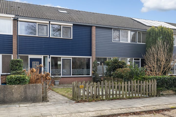 Foto 3 van Laan van de Bork 462