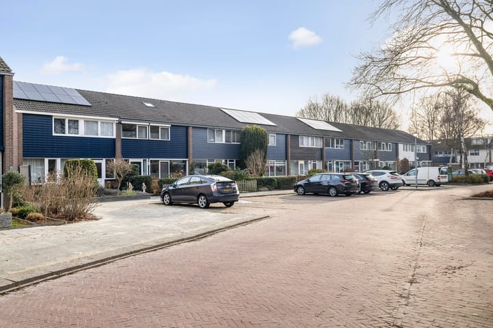 Foto 6 van Laan van de Bork 462