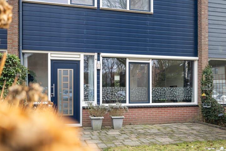 Foto 7 van Laan van de Bork 462